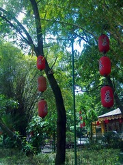 2012072924049.jpg