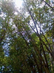 2012072924050.jpg