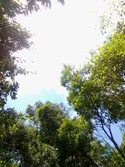 2012072924055.jpg