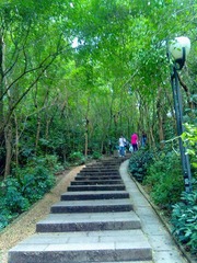 2012072924068.jpg