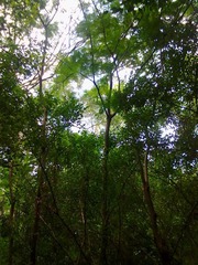 2012072924069.jpg