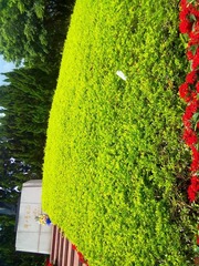 2012072924088.jpg