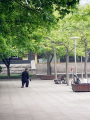 DSCN2447_副本.jpg