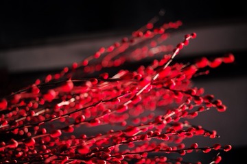 0A177778-3684-42C4-B87A-816E10CC74E0/L0/001