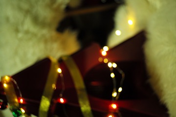 7BDE8865-93CF-463B-98D0-609829C75F5B/L0/001