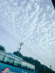 B423E325-601A-4B31-8A72-4AF9554CCA4D/L0/001