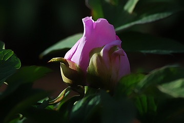 120285