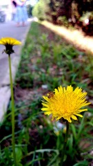 WP_20130611_008