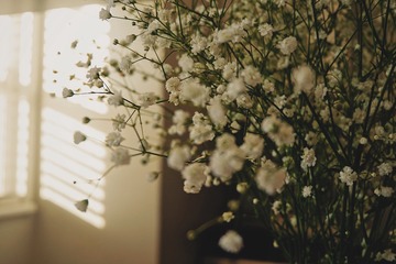8CE970E8-2453-45DB-B16D-7FB5D655B1A7/L0/001