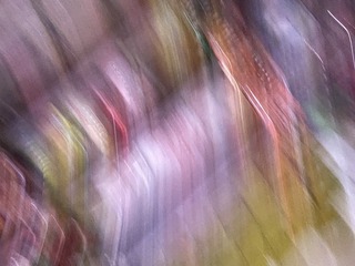 7A642D47-DDBD-4DAD-9B81-D782D28DBE79/L0/001