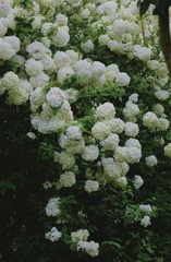 E2128B22-503A-48E0-BC02-464EE54F7554/L0/001
