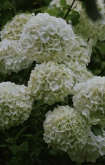 9ED1094B-80B7-4970-BD73-F7EEA30254B5/L0/001