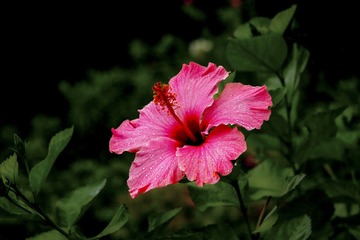 9D7D5607-78FA-4EE2-A848-22E0F632BEB9/L0/001