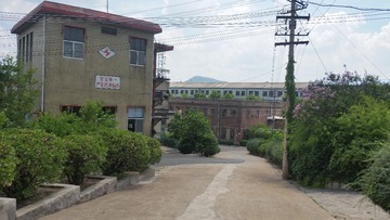 1959