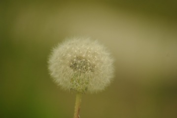 3304