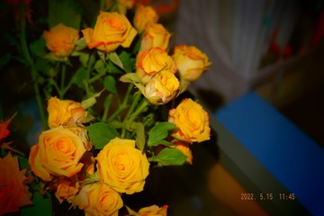 04DE2171-7B80-473D-A2D9-3A4C9FBD6021/L0/001