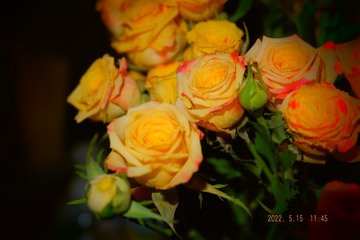 C8074A7B-A98D-40BA-B086-45D947BE5843/L0/001