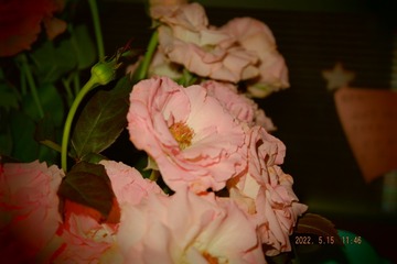 6A25B3A8-FB08-42B0-AD30-FFE9AFDB6344/L0/001