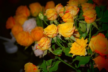 BF9EC21E-11AA-4C54-A9AB-824B9DCEFEA5/L0/001