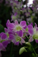 20120422-No1.jpg