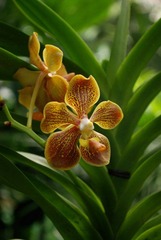 20120422-No4.jpg
