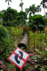 20120422-No7.jpg