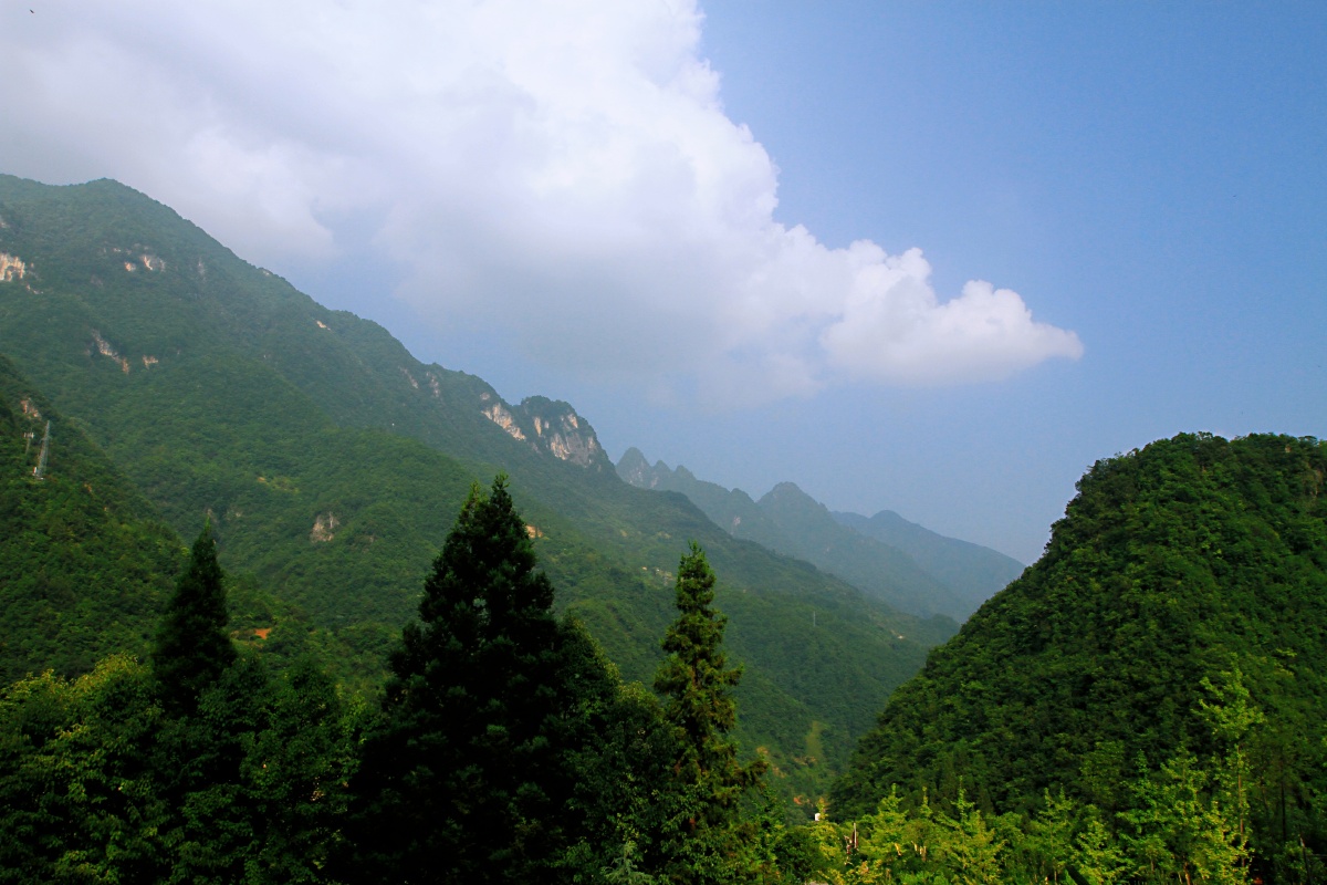 神农架在湖北省西部边陲中部最大原始森林
