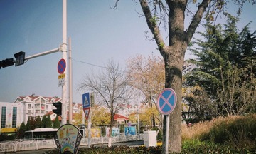 A87911D0-2DF0-4A17-8698-0ABFBE13E4D6/L0/001