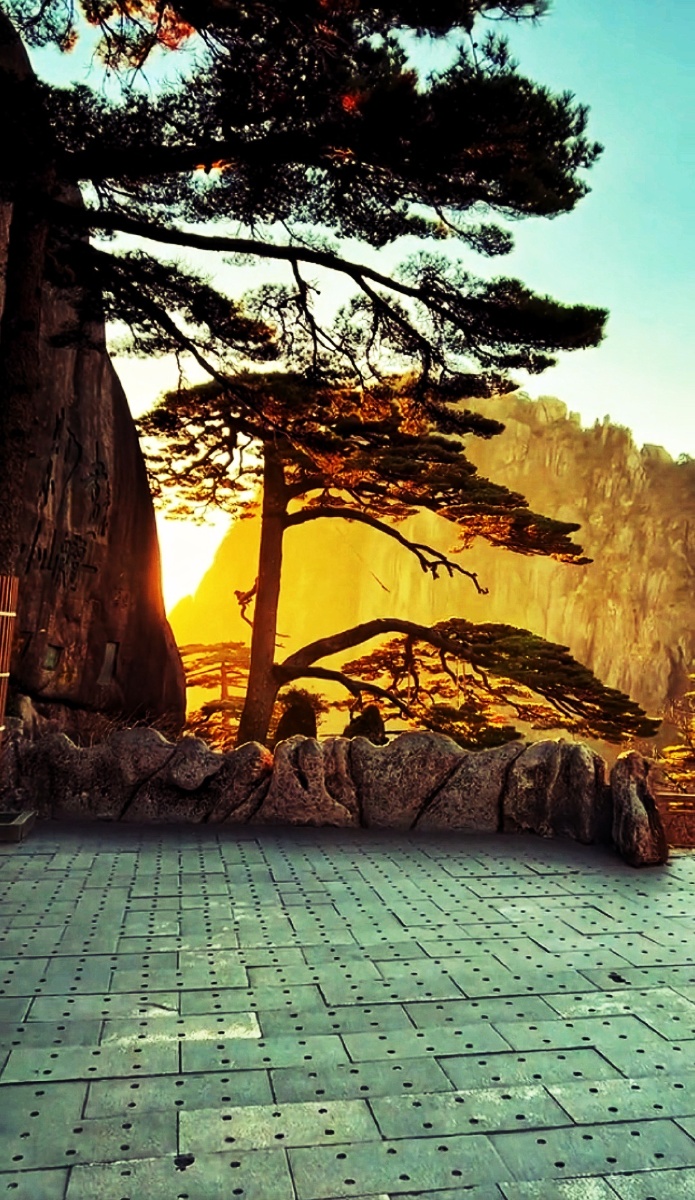 迎客松的早晨 - 摄影师q红 - 图虫