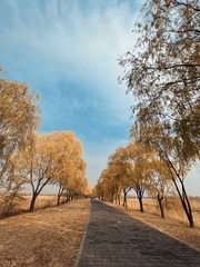 C4C41D39-1F1B-461F-BC39-1301221C6AEE/L0/001