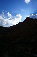 dsc08412_副本.jpg