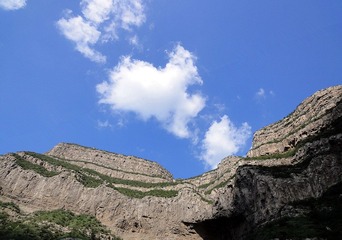 DSC08416_副本.jpg