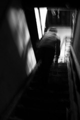 IMG_6645.jpg