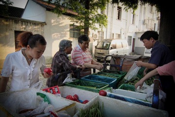 IMG_9718.jpg