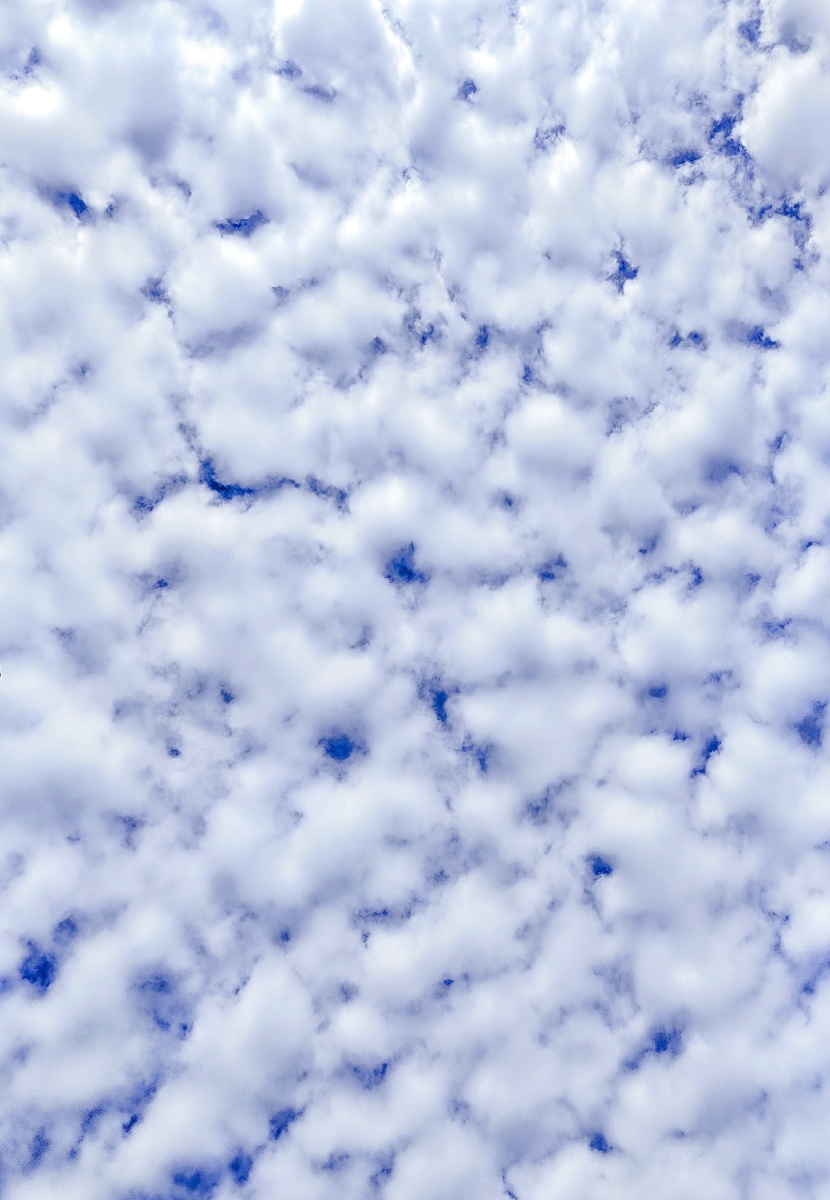 天空的云彩很像一片片棉花糖,好看又好吃