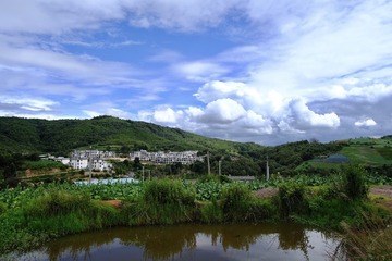 75ABF4D6-7F9E-4DFC-9D89-B12339A77BD5/L0/001