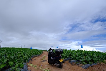 7CB54372-2C9F-454F-A896-FC72430DCF3F/L0/001