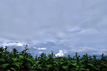 BB3A4B7E-F8C4-4D79-88AD-A253318C55E9/L0/001