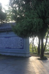 83D8001A-6E15-4FDF-A194-C4A264831D3A/L0/001