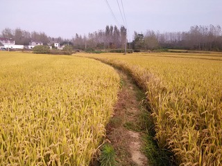 859A9152-24E0-4D38-9A61-30ABB7616B1A/L0/001