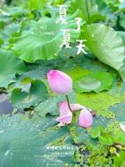 106099F1-87AB-496C-88BF-306540A1738B/L0/001
