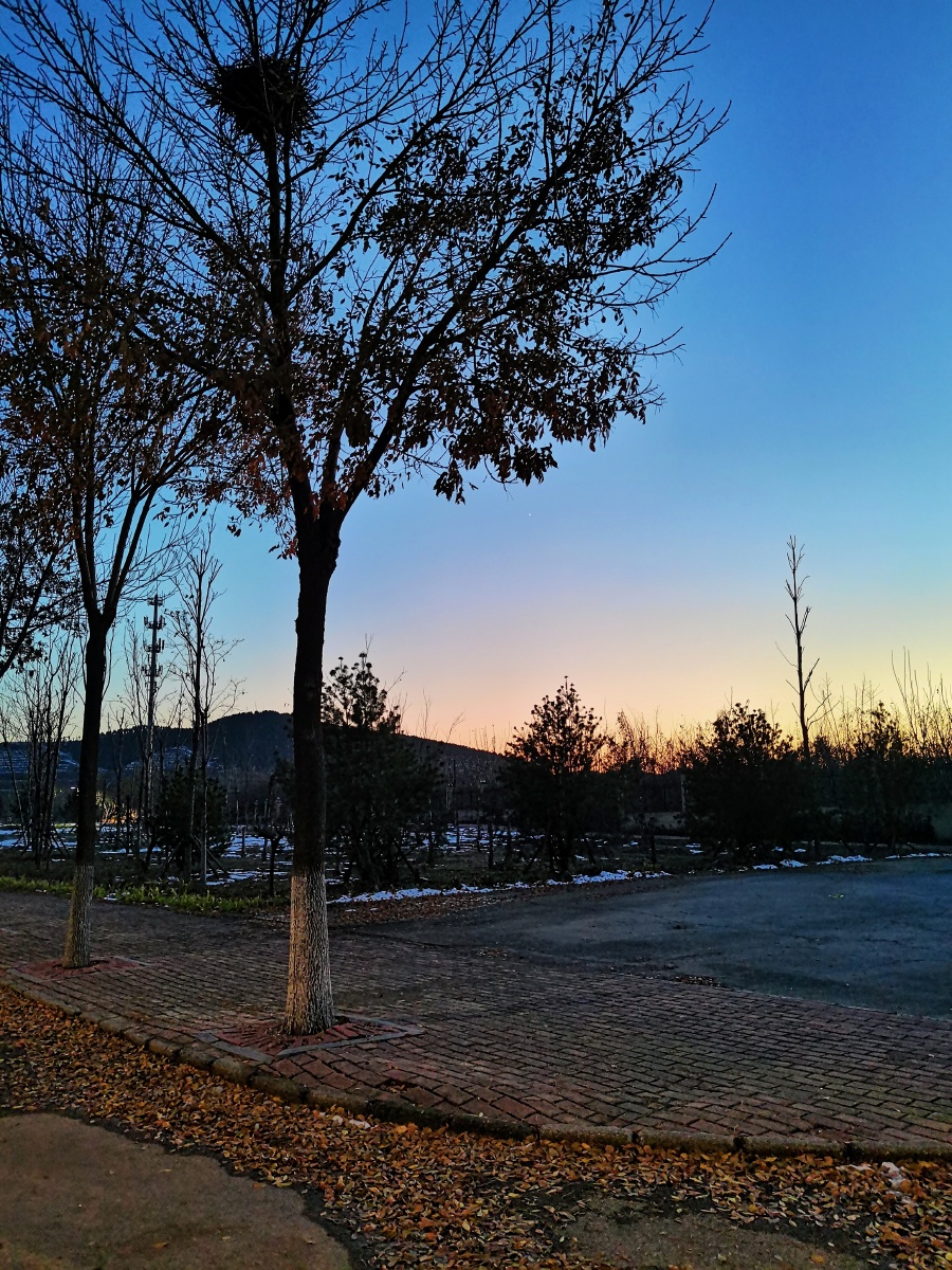 《冬日里—第一篇》 - 和风小确幸 - 图虫