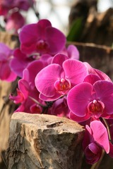 IMG_3053.JPG