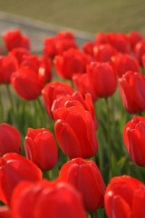 IMG_3071.JPG