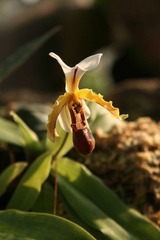 IMG_3043.JPG