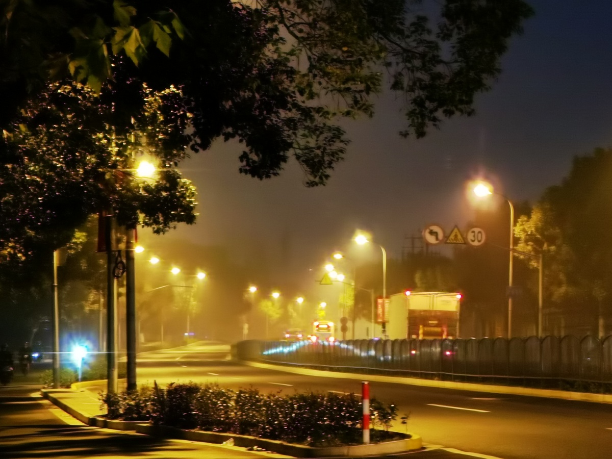 今日雾早上朦朦胧胧的街灯