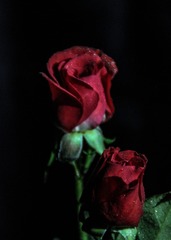 89DC72F4-668D-45D9-879B-87C210552A27/L0/001