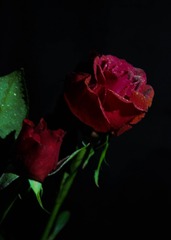 9B90E5A3-4BE7-4DA3-BD28-850EA3791E37/L0/001