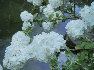 98C6C432-2B1F-447C-8715-502E591DC261/L0/001