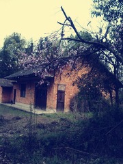 P03-04-12_10.50_副本.jpg